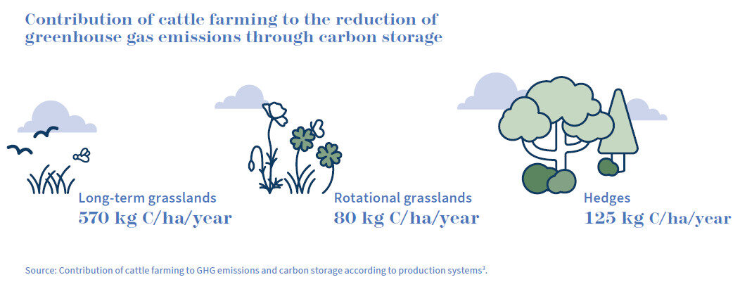 The Low Carbon Dairy Farm initiative (France)